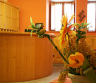 Residence Casa Alpina